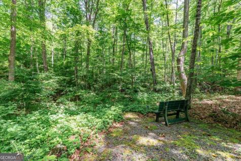 2874 Hickory Cove Lane Hiawassee GA 30546