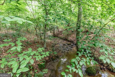 2874 Hickory Cove Lane Hiawassee GA 30546
