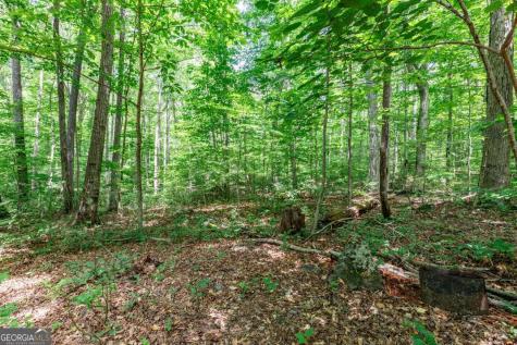 2874 Hickory Cove Lane Hiawassee GA 30546
