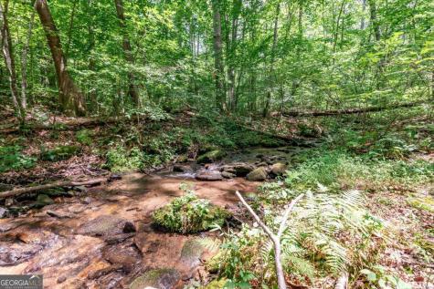 2874 Hickory Cove Lane Hiawassee GA 30546