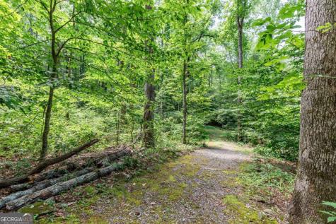 2874 Hickory Cove Lane Hiawassee GA 30546