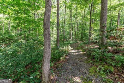 2874 Hickory Cove Lane Hiawassee GA 30546