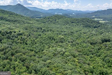 2874 Hickory Cove Lane Hiawassee GA 30546