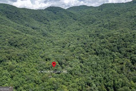 2874 Hickory Cove Lane Hiawassee GA 30546