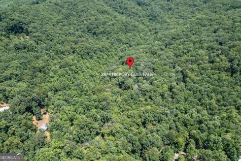 2874 Hickory Cove Lane Hiawassee GA 30546