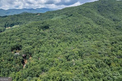 2874 Hickory Cove Lane Hiawassee GA 30546