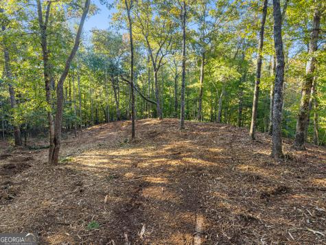 0 Old Cherokee Road Cleveland GA 30528