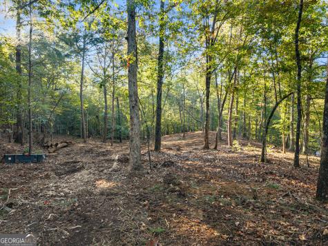 0 Old Cherokee Road Cleveland GA 30528
