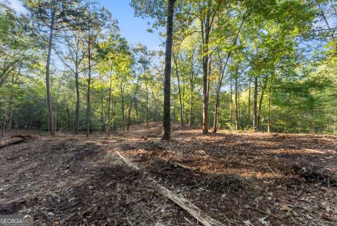 0 Old Cherokee Road Cleveland GA 30528