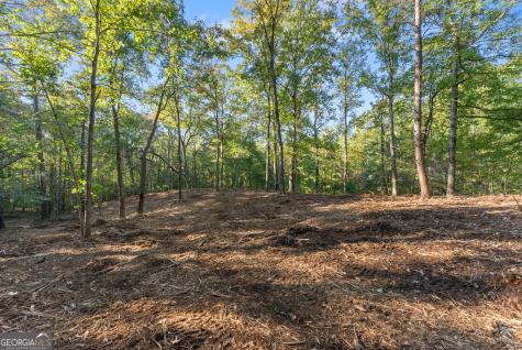 0 Old Cherokee Road Cleveland GA 30528