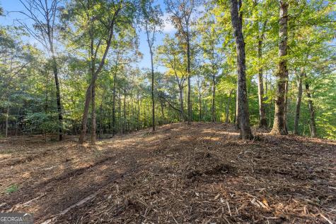 0 Old Cherokee Road Cleveland GA 30528