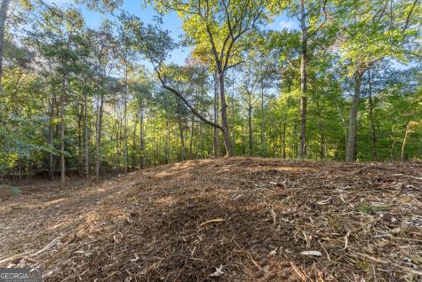 0 Old Cherokee Road Cleveland GA 30528