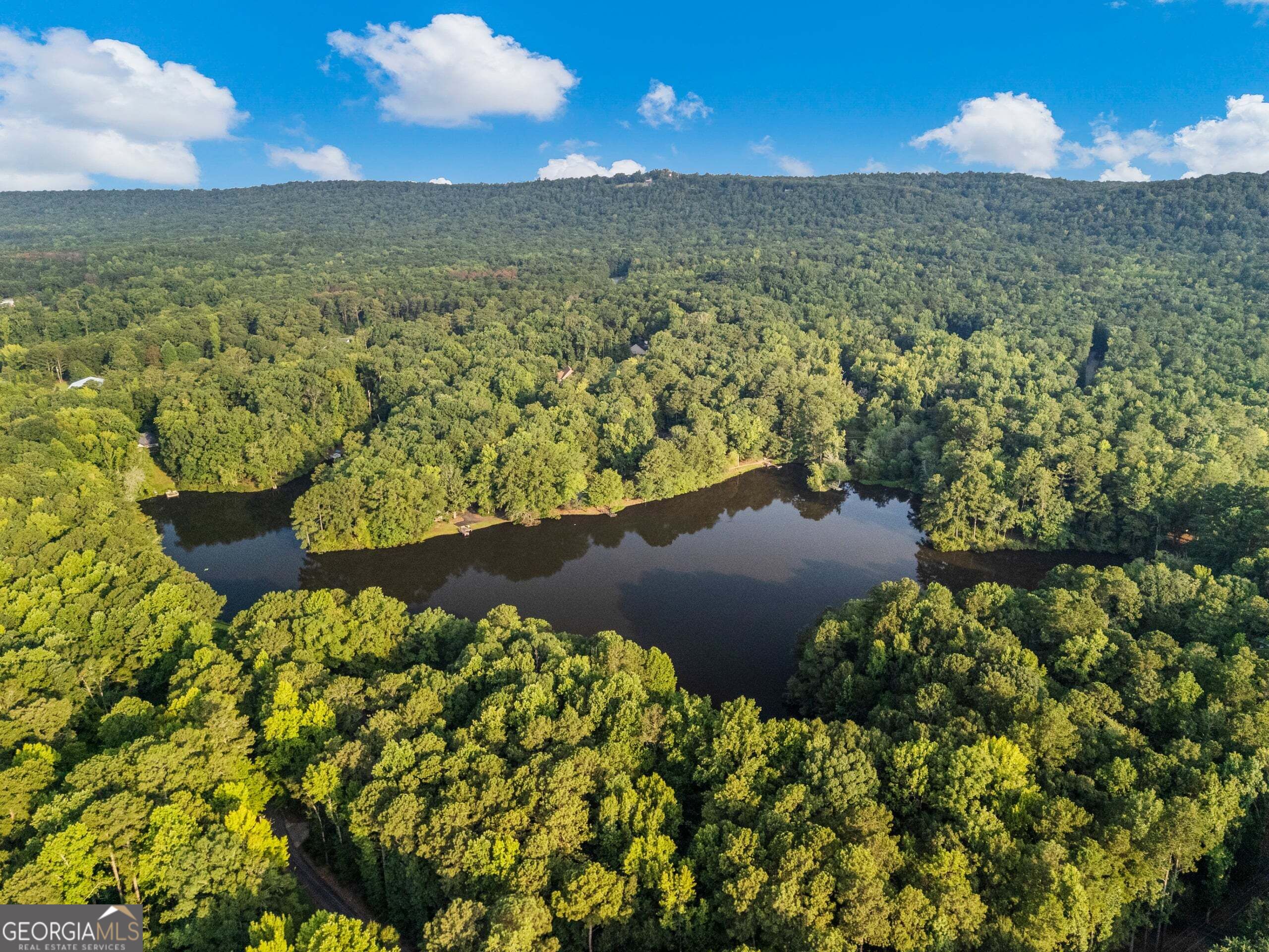 244 Lake Drive Pine Mountain GA 31822