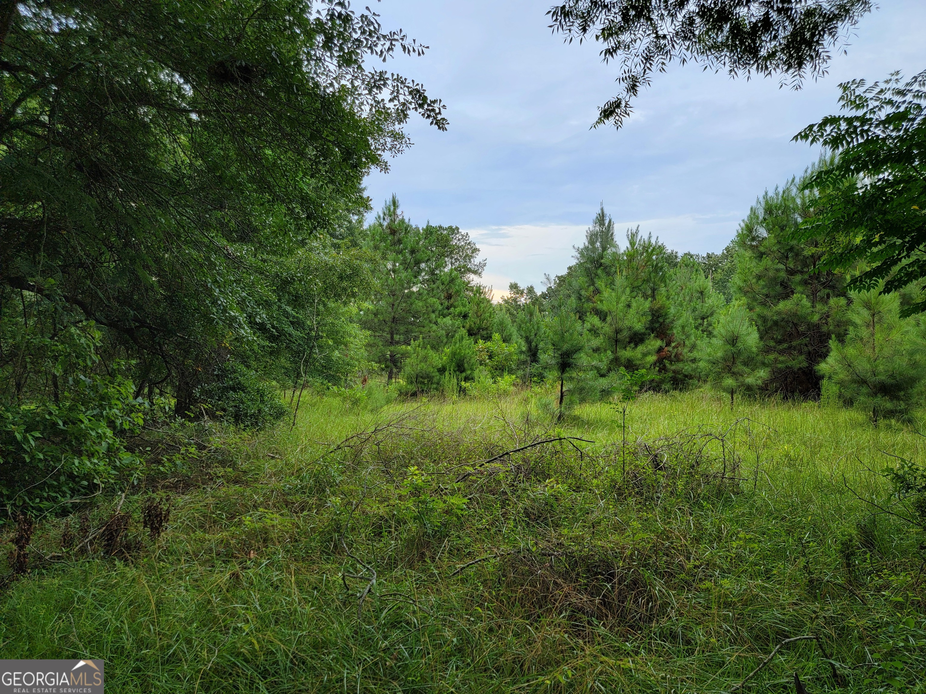 367 Mt Pleasant Church Road Gordon GA 31031
