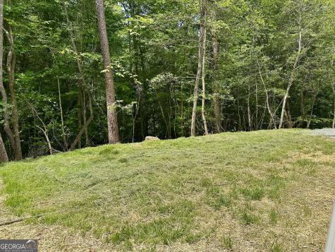 101 Sawyer Ridge Lane Hayesville NC 28904