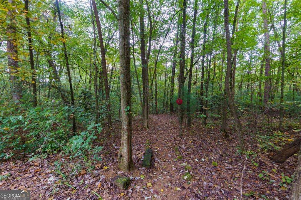 67 Ballard Lane Ellijay GA 30536