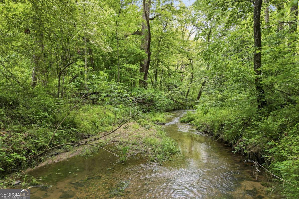 67 Ballard Lane Ellijay GA 30536