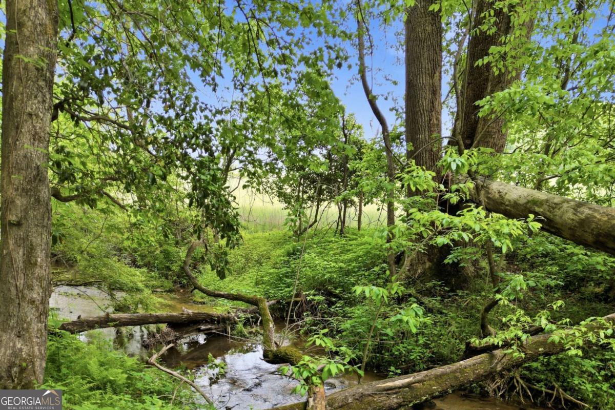 67 Ballard Lane Ellijay GA 30536
