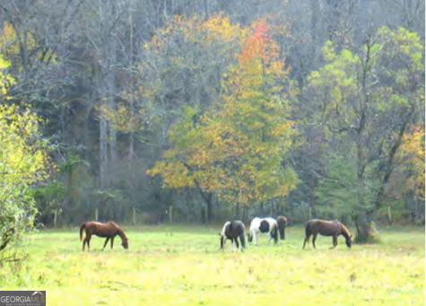 166 Quail Point Sautee Nacoochee GA 30571
