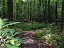 122 Eagle Heart Court Waleska GA 30183