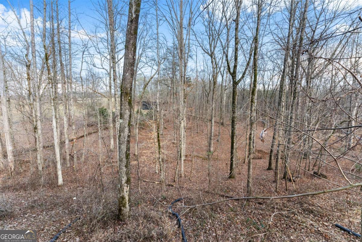 6019 Old Howser Mill Road Gainesville GA 30506