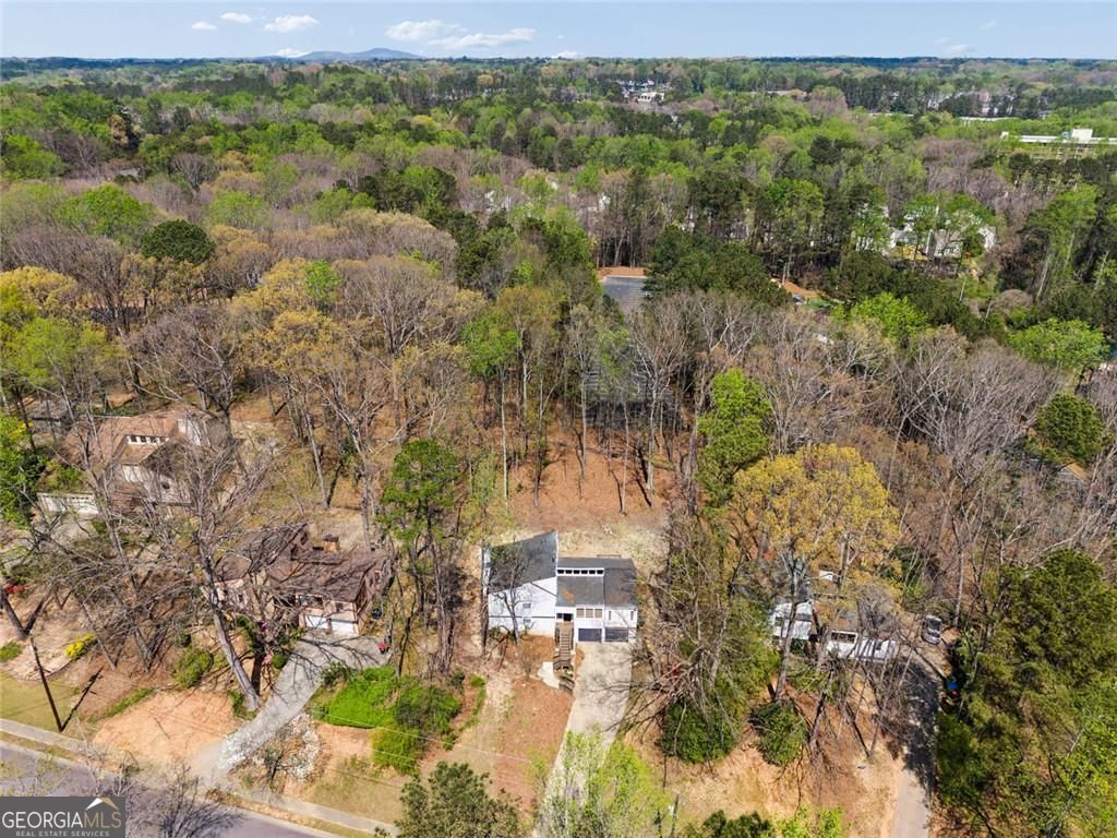 1309 Laurel Cliff Drive Smyrna GA 30082