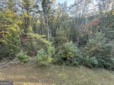 2856 Oakey Mountain Road Clarkesville GA 30523