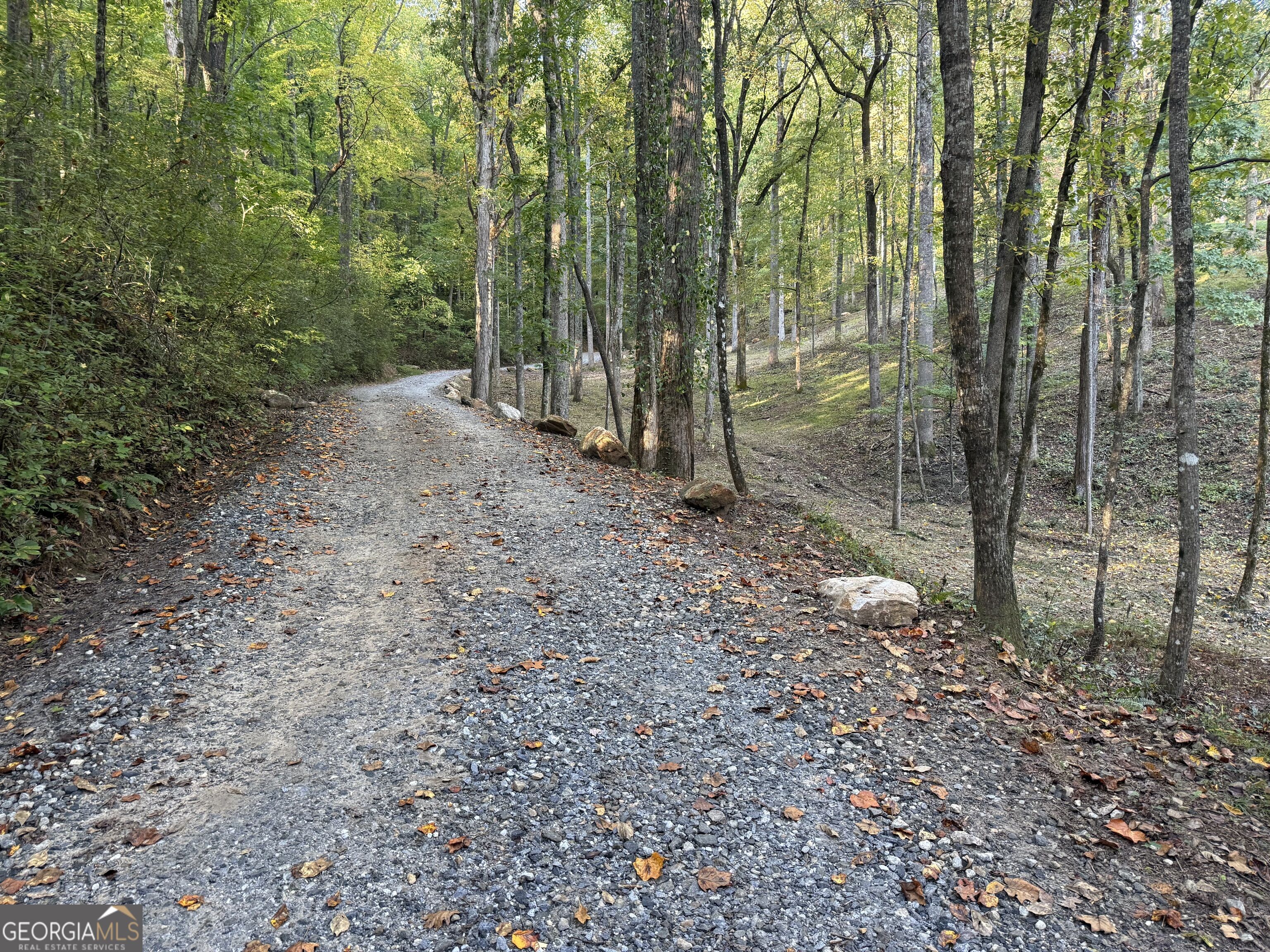 2856 Oakey Mountain Road Clarkesville GA 30523