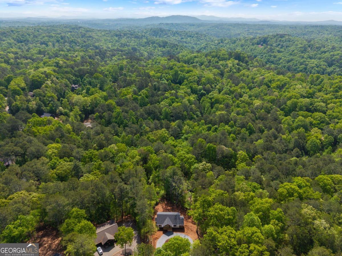 227 Haven Court Ellijay GA 30540