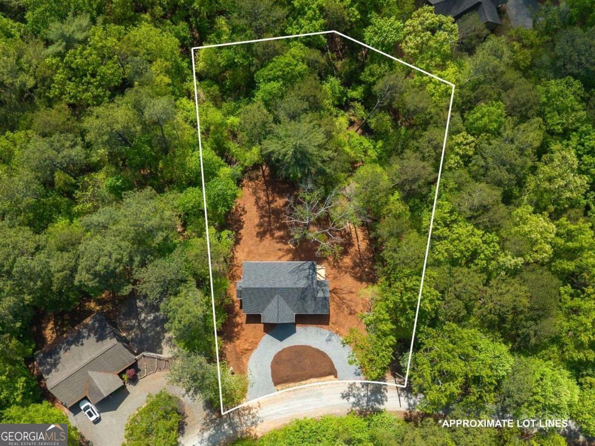 227 Haven Court Ellijay GA 30540