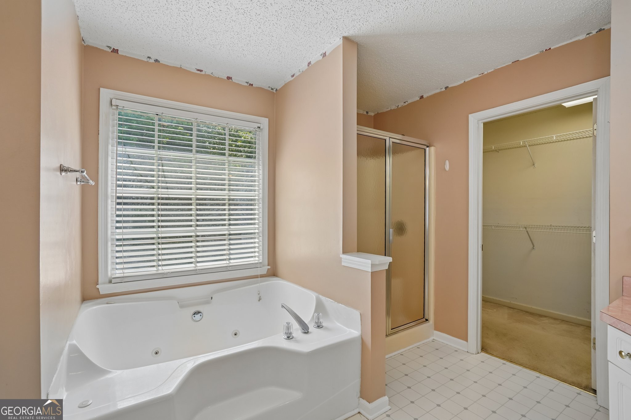 243 Abbington Way Douglasville GA 30134