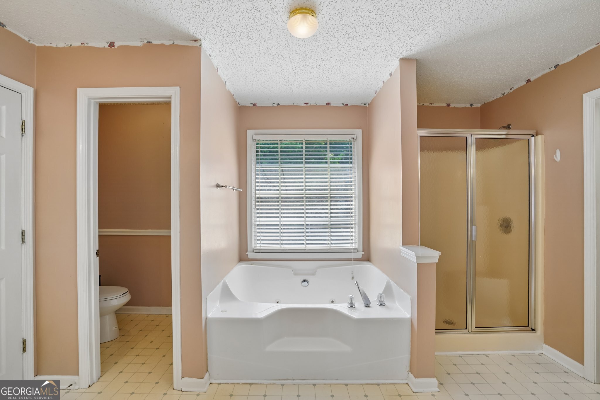 243 Abbington Way Douglasville GA 30134