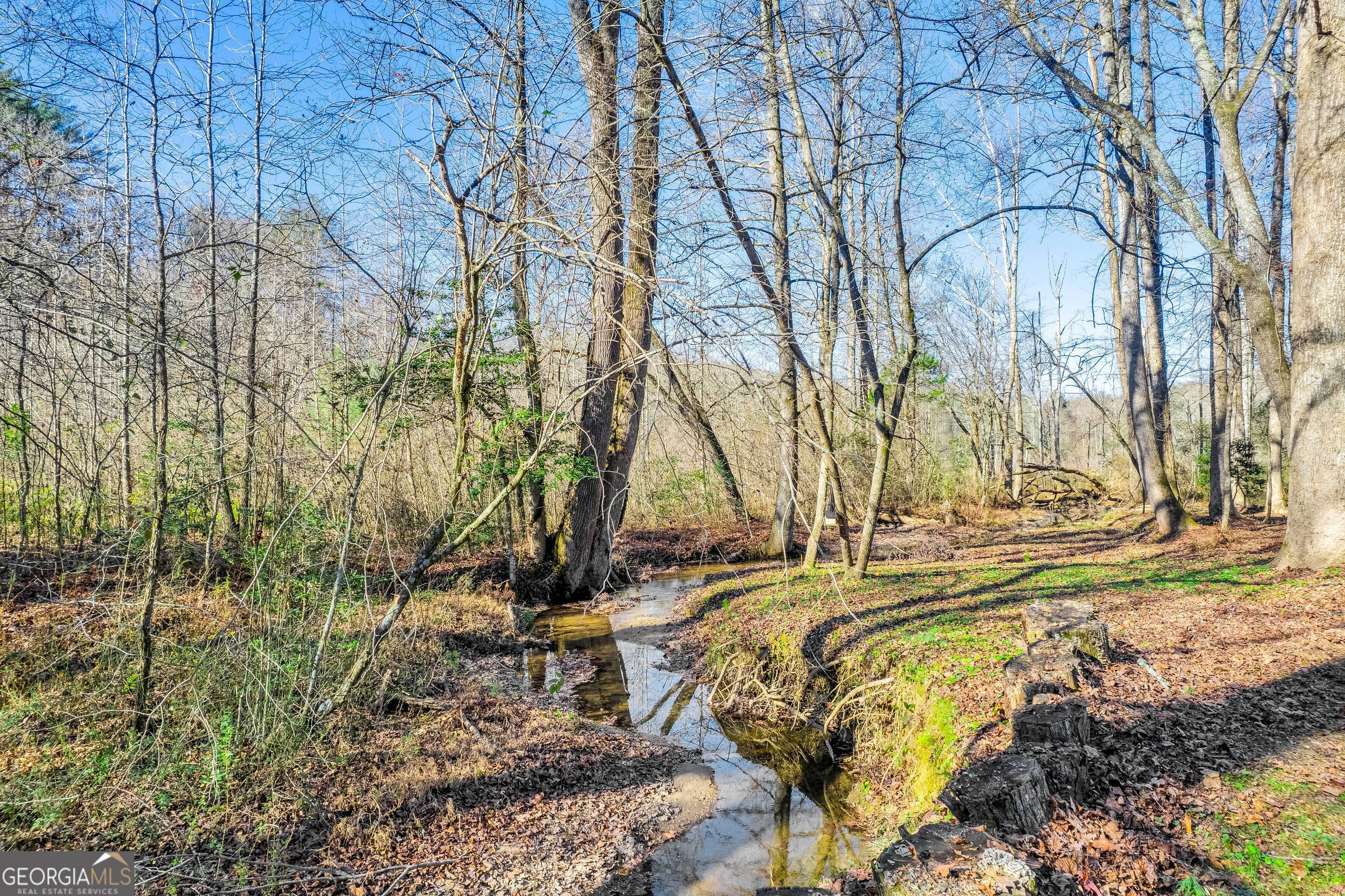 284 & 286 Duncan Bridge Road Sautee Nacoochee GA 30571