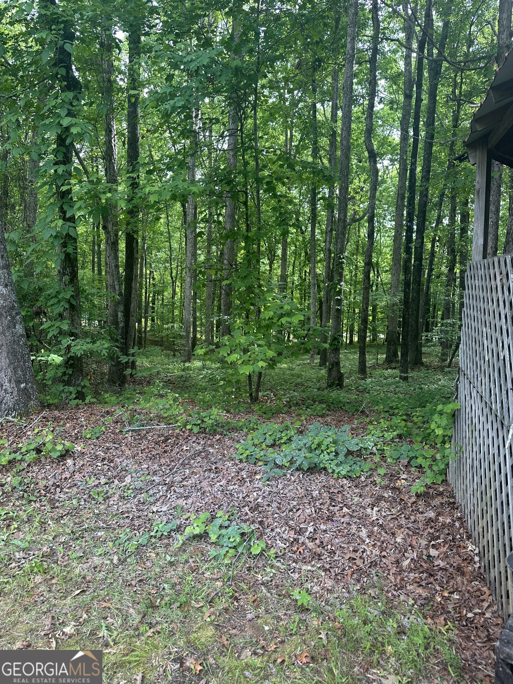 7500 Bevis Road Franklin GA 30217