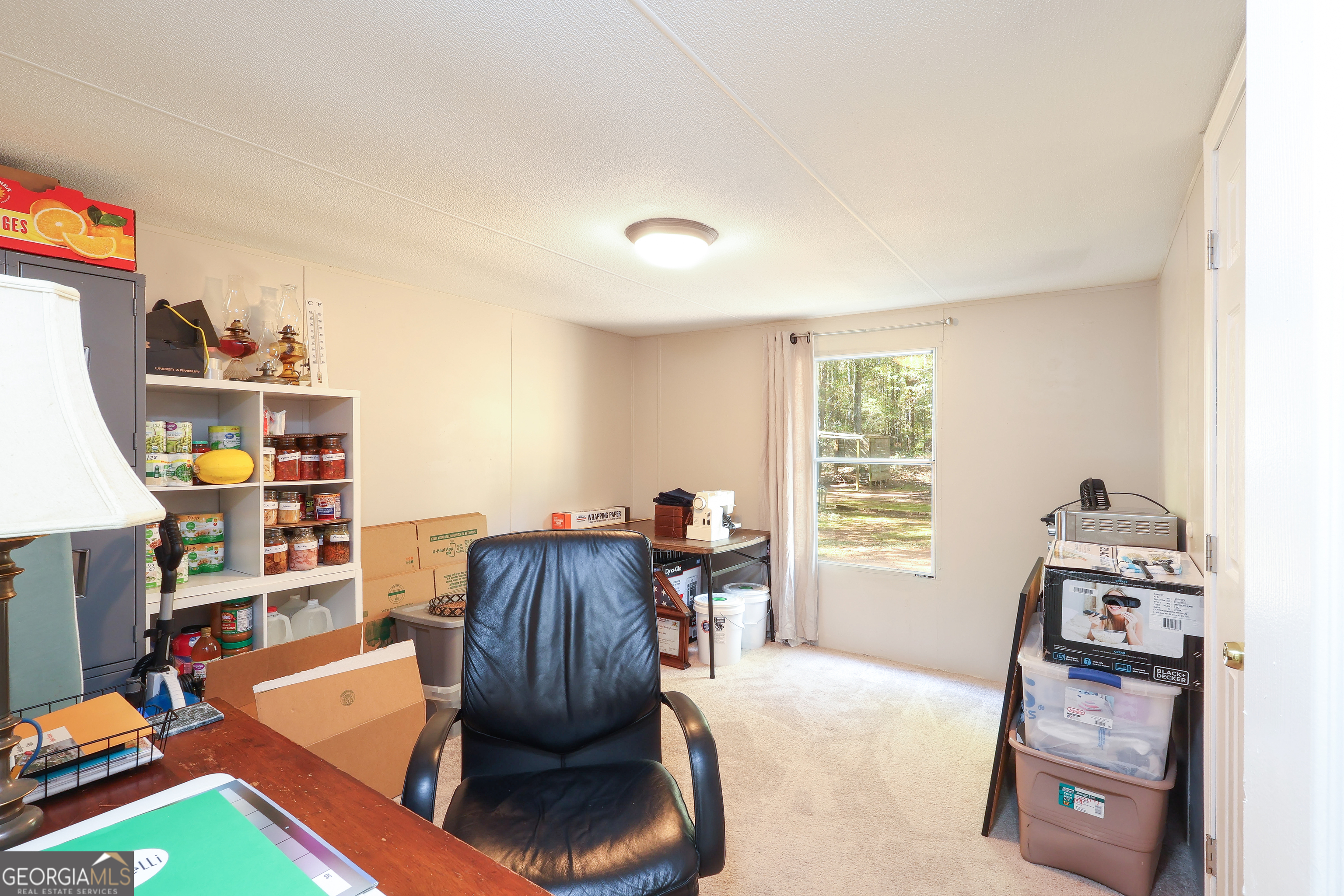 1424 Al Roberts Road Senoia GA 30276