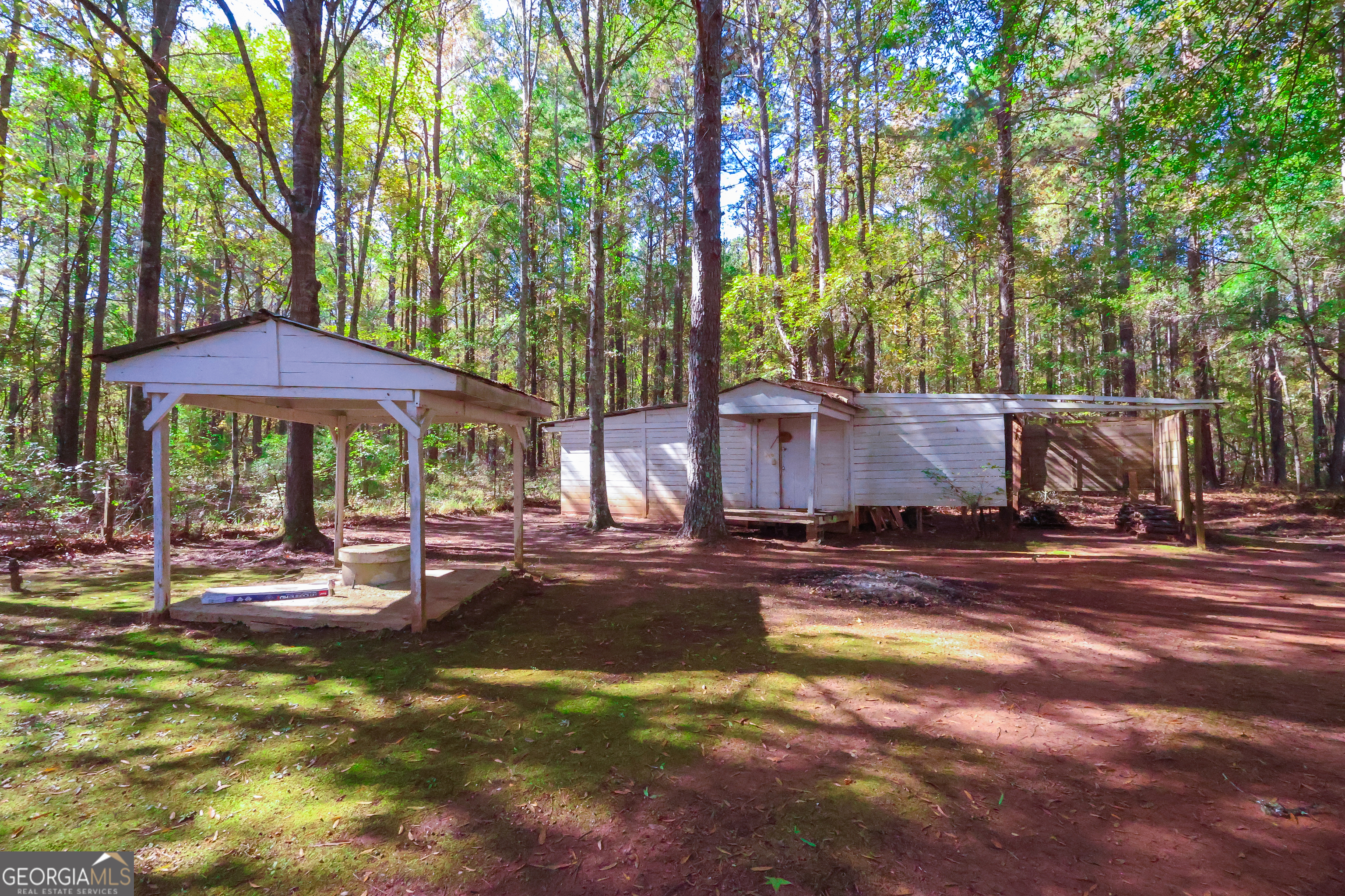 1424 Al Roberts Road Senoia GA 30276