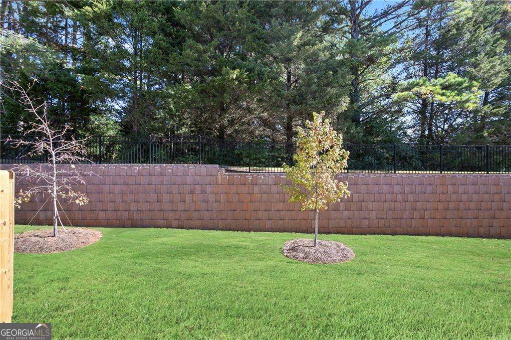 2841 Thames Willow Way Suwanee GA 30024