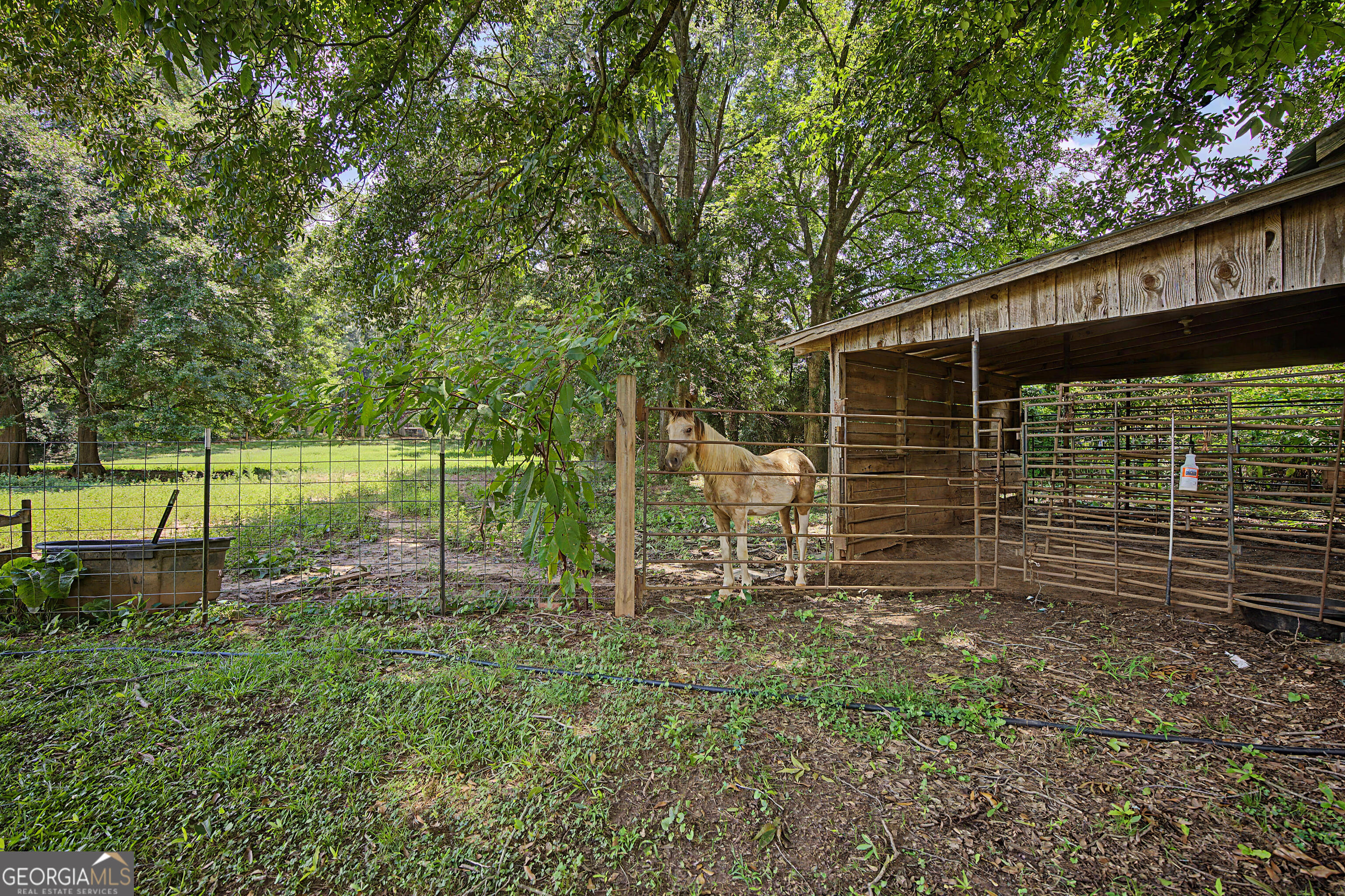 151 Ginn Street Carnesville GA 30521