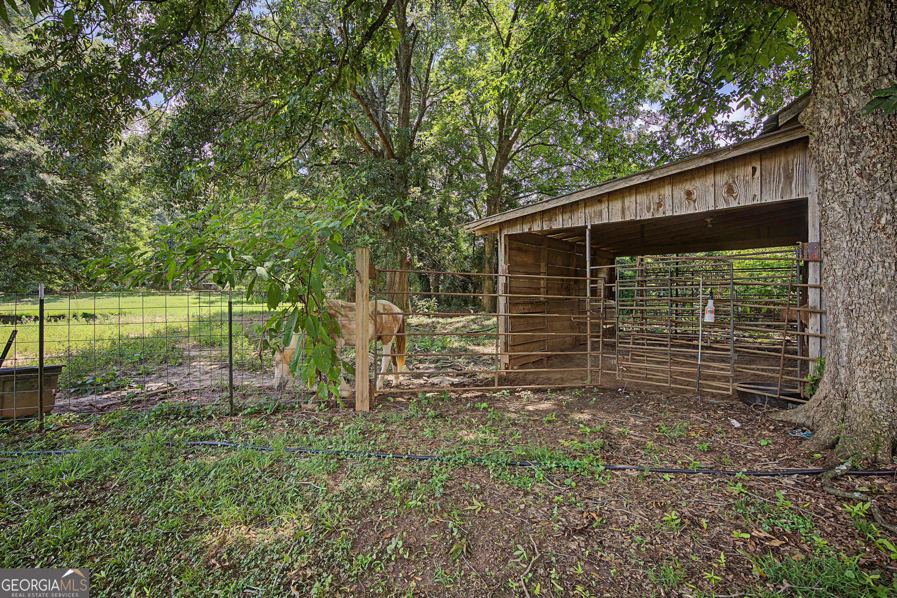 151 Ginn Street Carnesville GA 30521