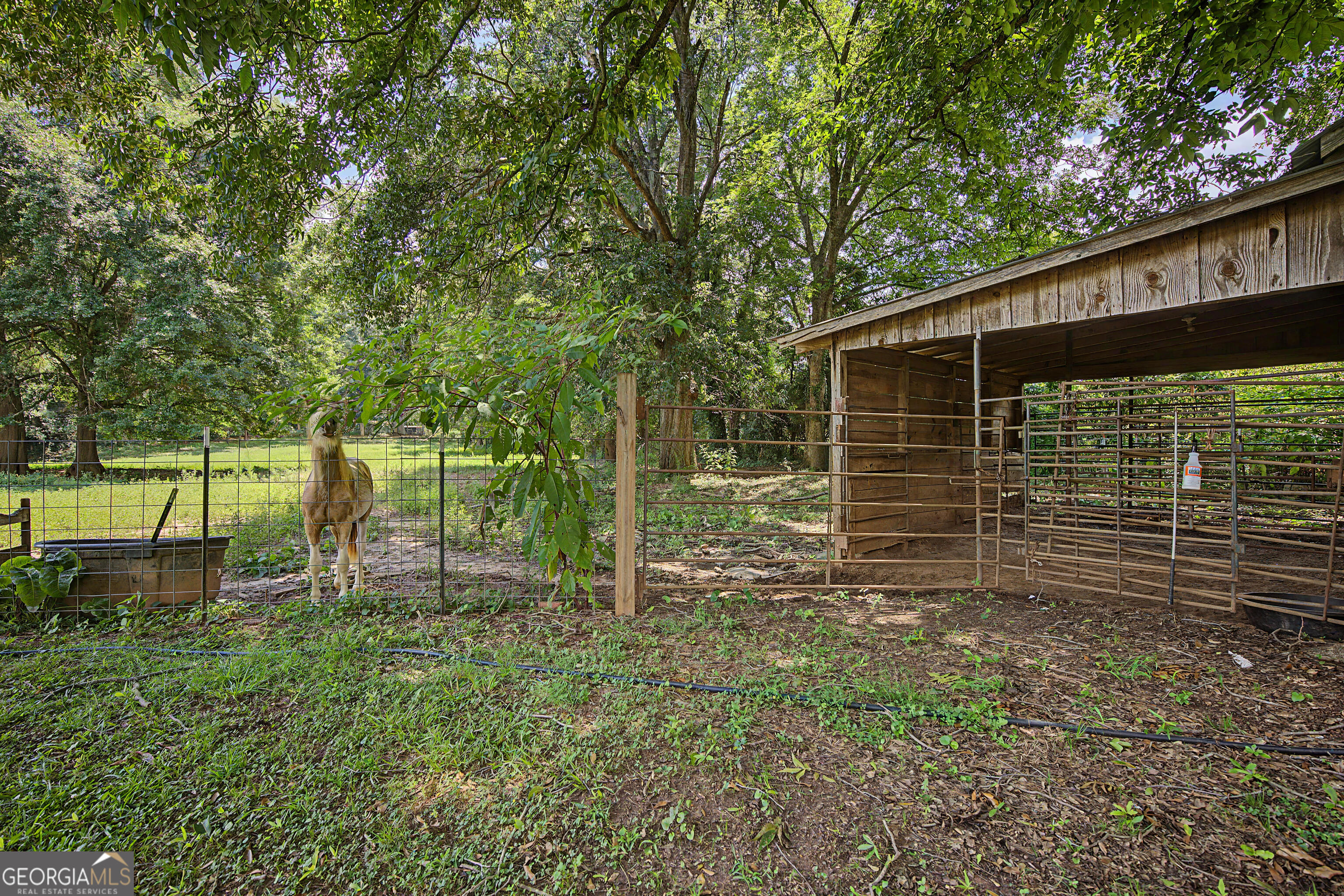 151 Ginn Street Carnesville GA 30521