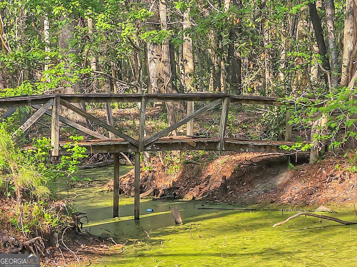 17 Broom Straw Trace Ellabell GA 31308