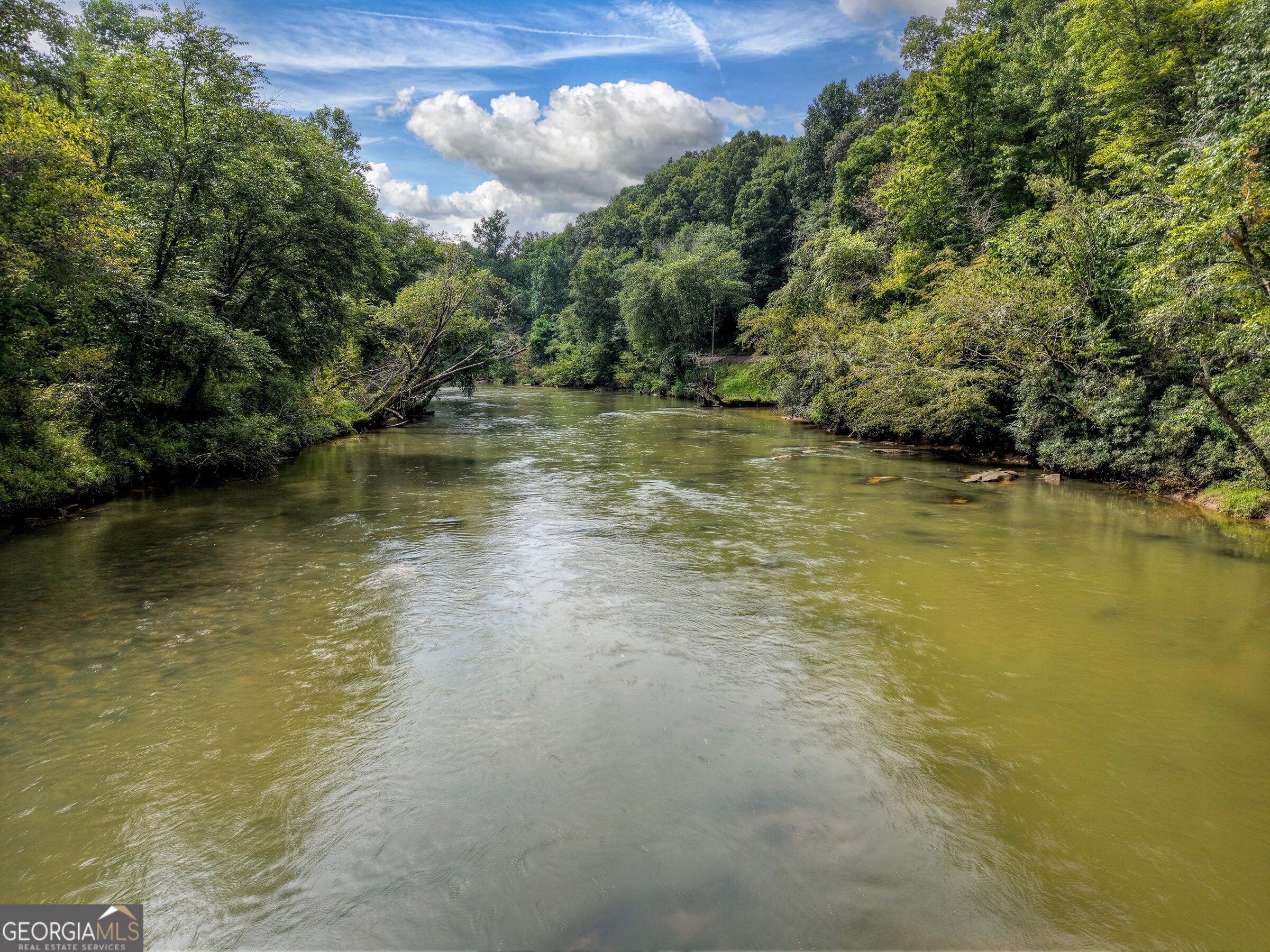 271 Toccoa Preserve Court Blue Ridge GA 30513