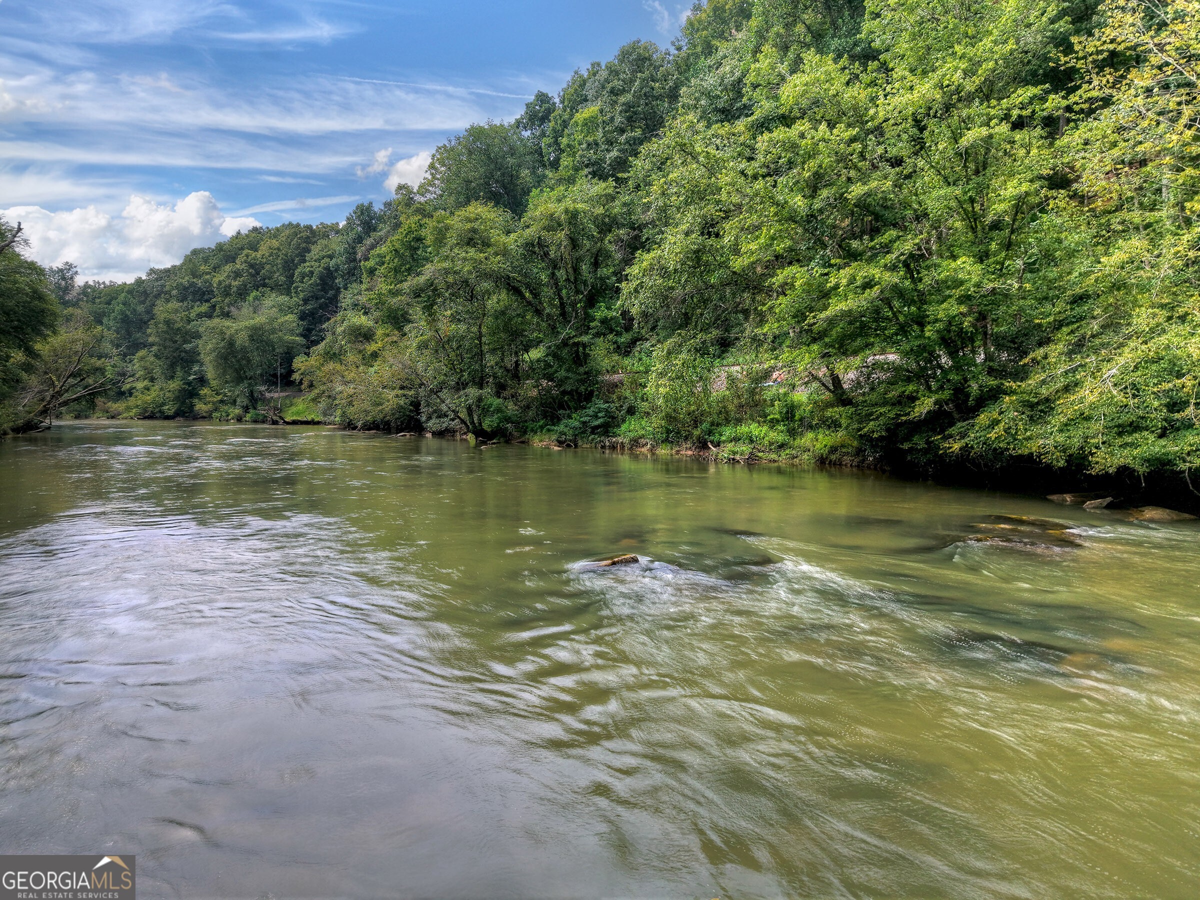 271 Toccoa Preserve Court Blue Ridge GA 30513
