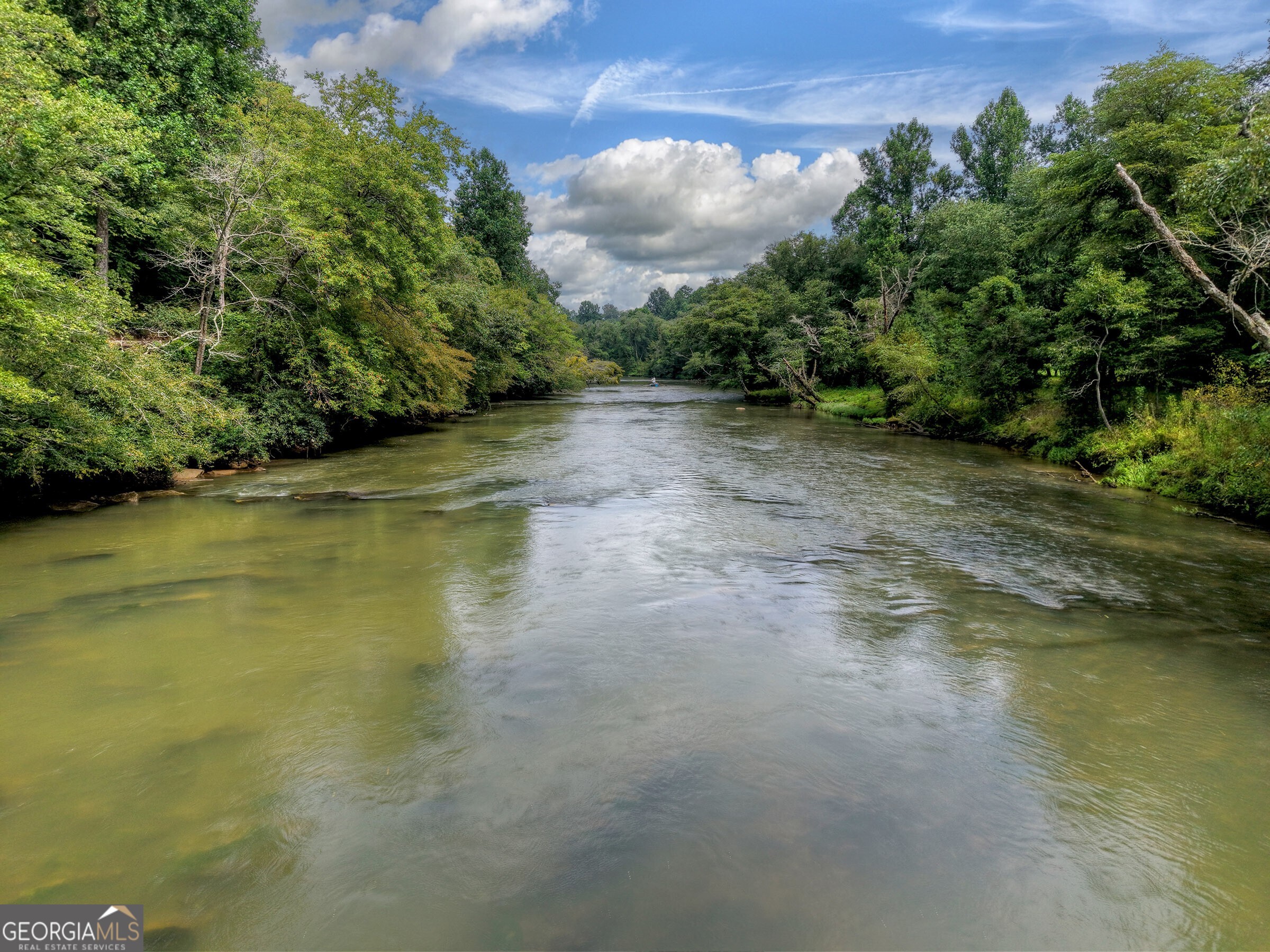 271 Toccoa Preserve Court Blue Ridge GA 30513
