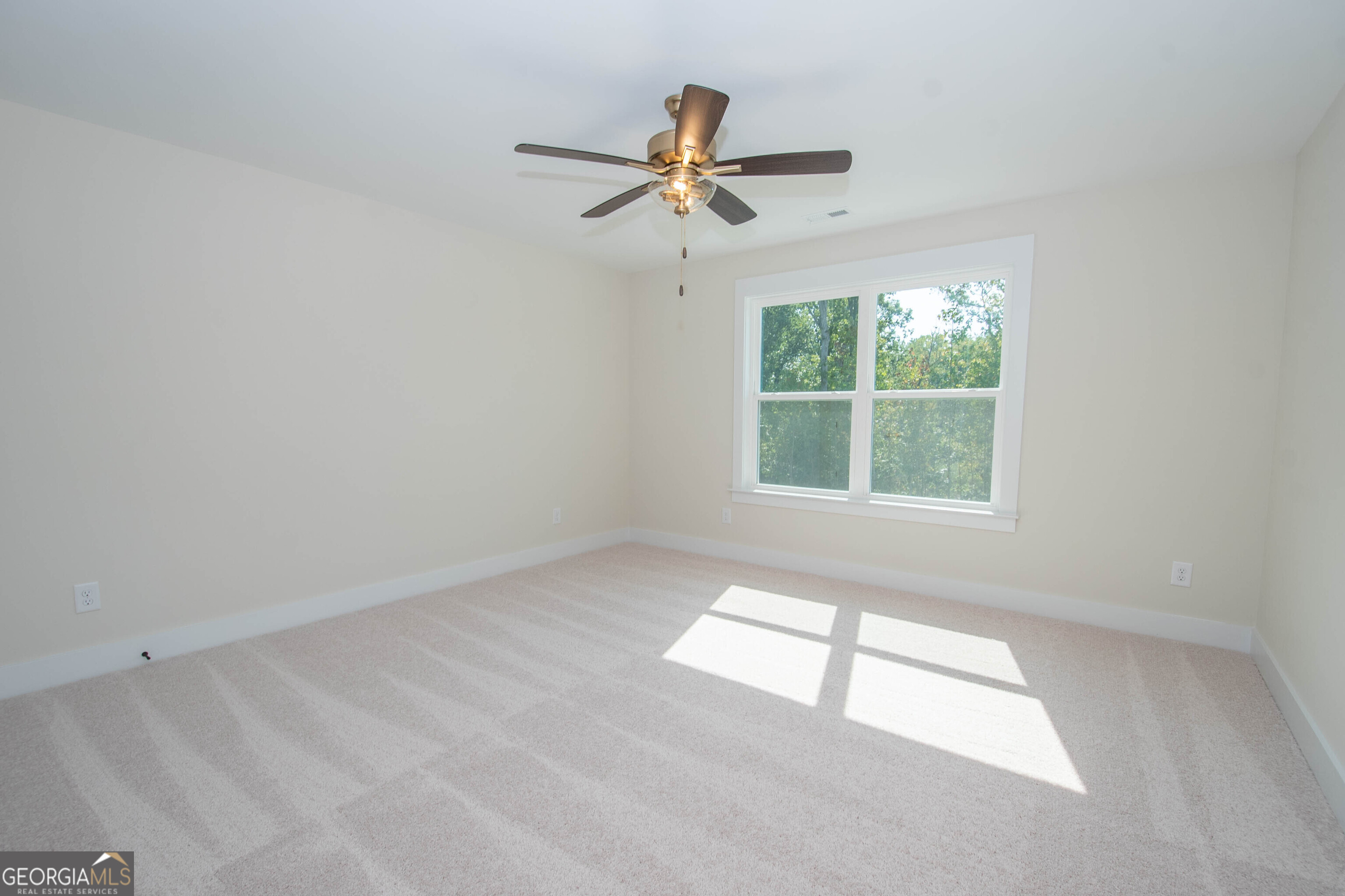 17 Hedge Court Newnan GA 30263