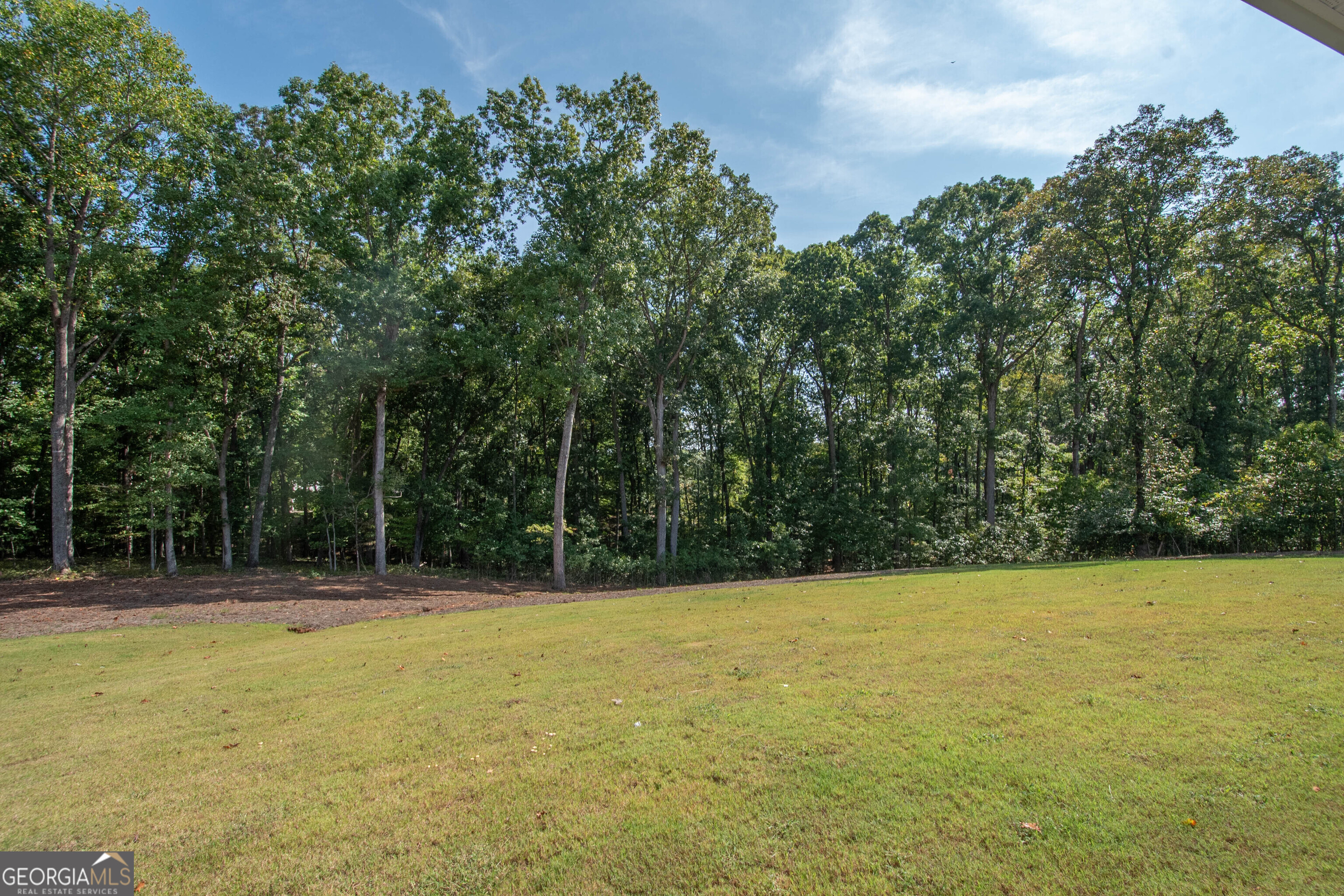 17 Hedge Court Newnan GA 30263