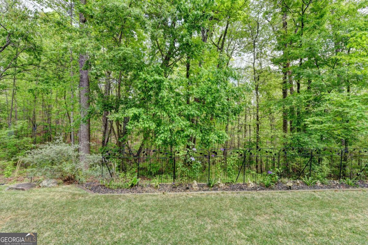 3502 Phoenix Cove Drive Gainesville GA 30506