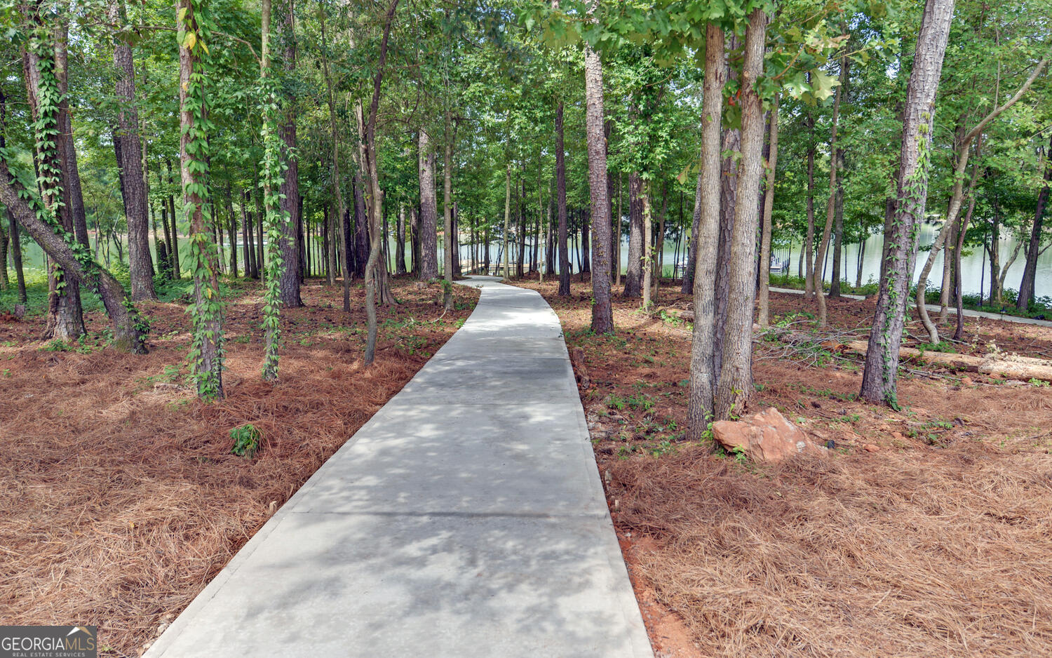 71 & 73 Woodlake Court Hartwell GA 30643
