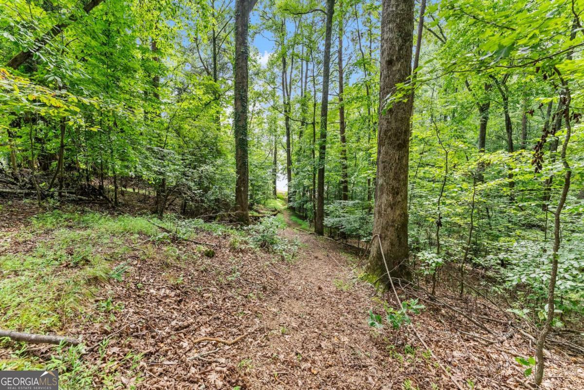 4243 Perry Drive Gainesville GA 30506