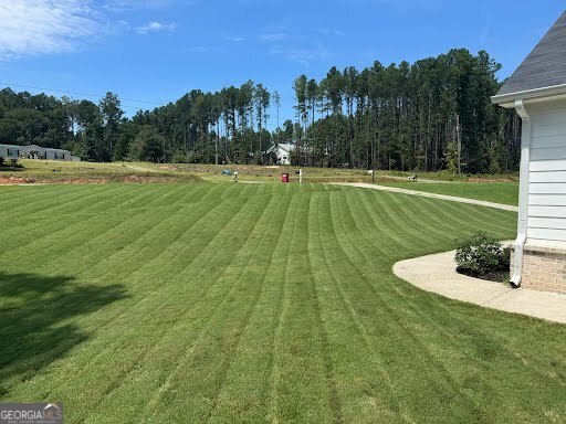171 Strickland Loop Forsyth GA 31029